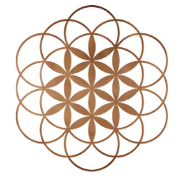 Shadow Work Masterclass, Manifestation Masterclass, & Self-Love Bundle